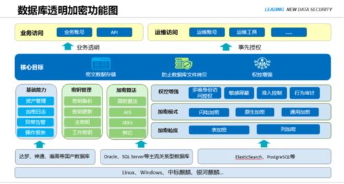 南京恒略数据库透明加密产品热卖，为生物质能资源数据库信息系统安全赋能