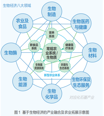 媒体农大科技之窗 生物质能资源数据库信息系统的构建与应用